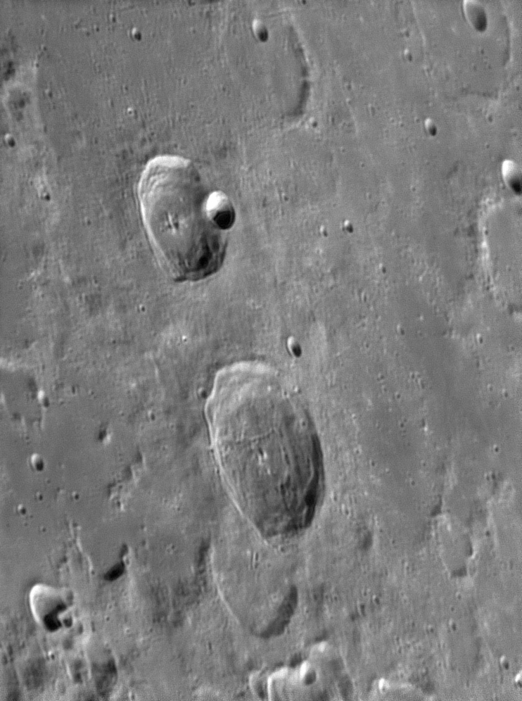 Franklin Cepheus.jpg